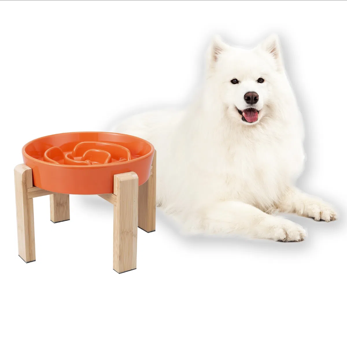 Gamelle Anti-Glouton Surélevée pour Chien - Bol en Céramique avec Support en Bambou - Idéale pour Chiens Moyens et Grands - Orange - 22,5 cm