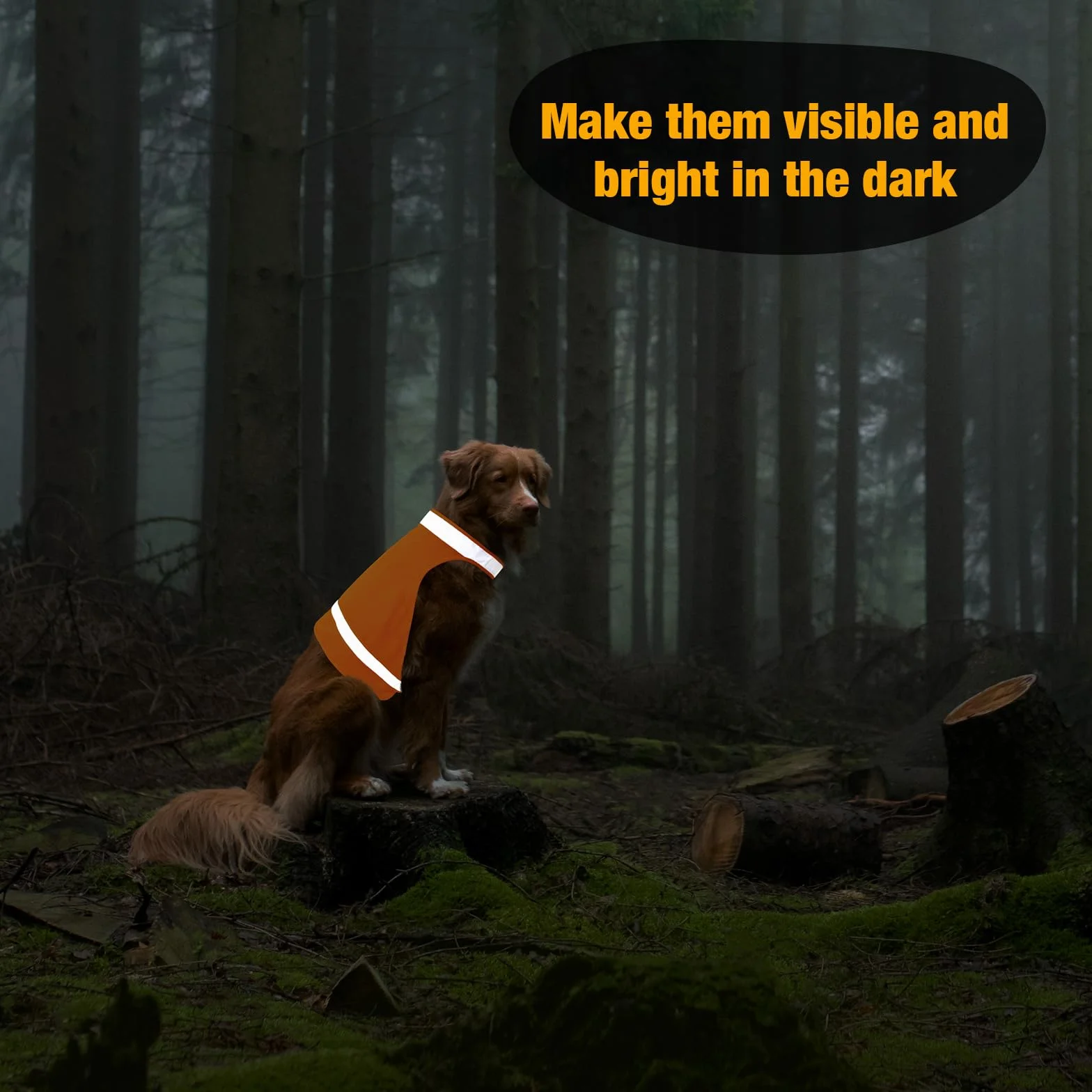 Lot de 2 Gilets Réfléchissants pour Chien - Sécurité pour la Chasse et Promenades Nocturnes - Taille L