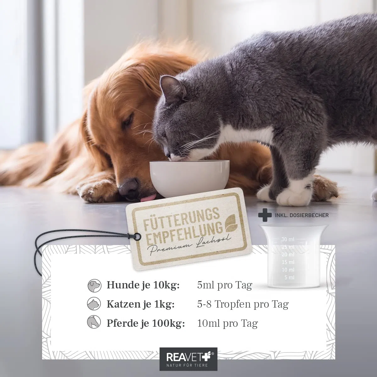 ReaVET Huile de Saumon Chiens 500 ML, oméga 3 & 6 Barf Huile Chiens I Huile de Saumon Chiens 500 ML I Huile de Poisson à Haute Dose Chiens en qualité Alimentaire