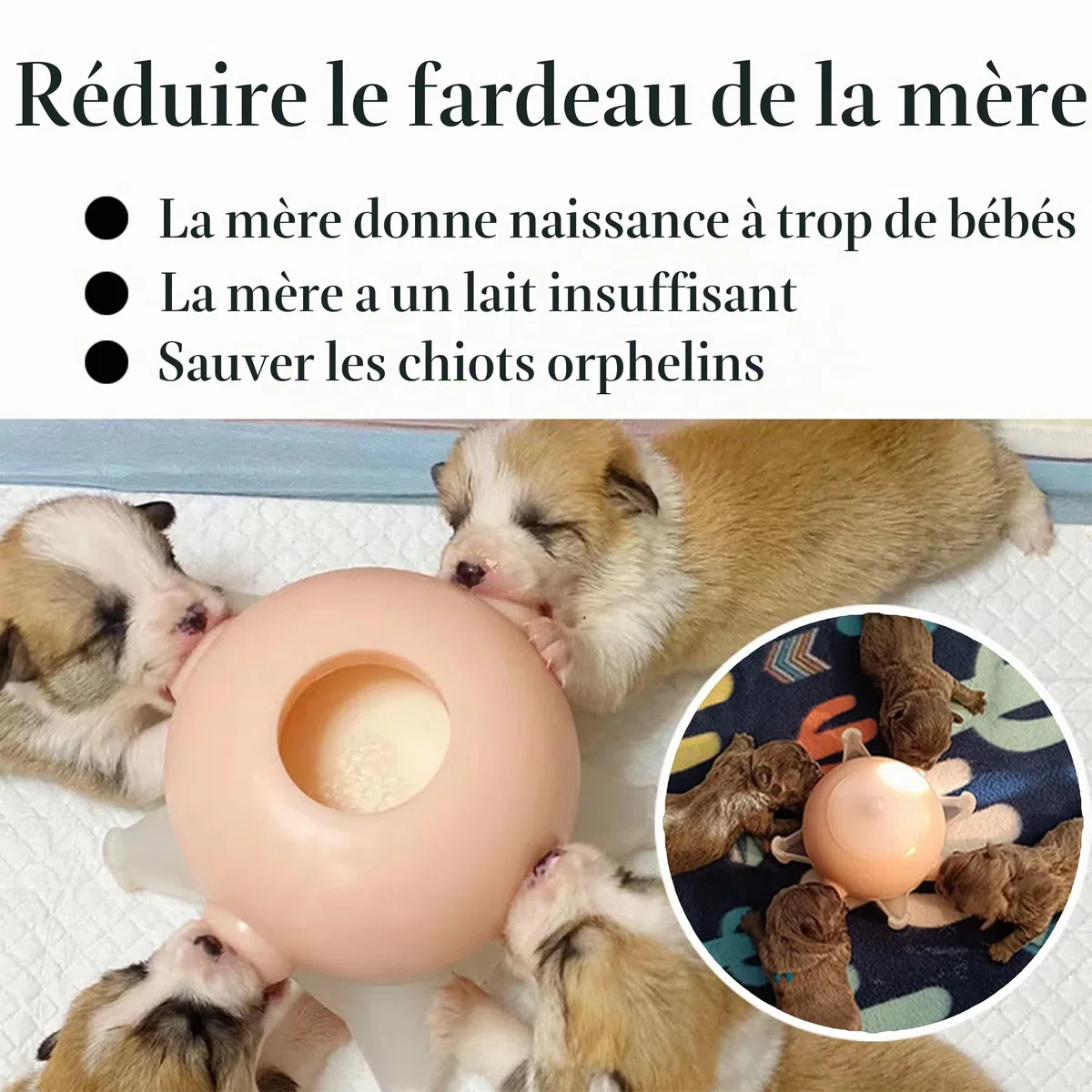 Doggiema Mangeoire à Lait pour Chiot, Biberons pour Chiots, pour Plusieurs Chiots 4 Tétines en Silicone Allaitement pour Chiot Bubble Milk Bowl