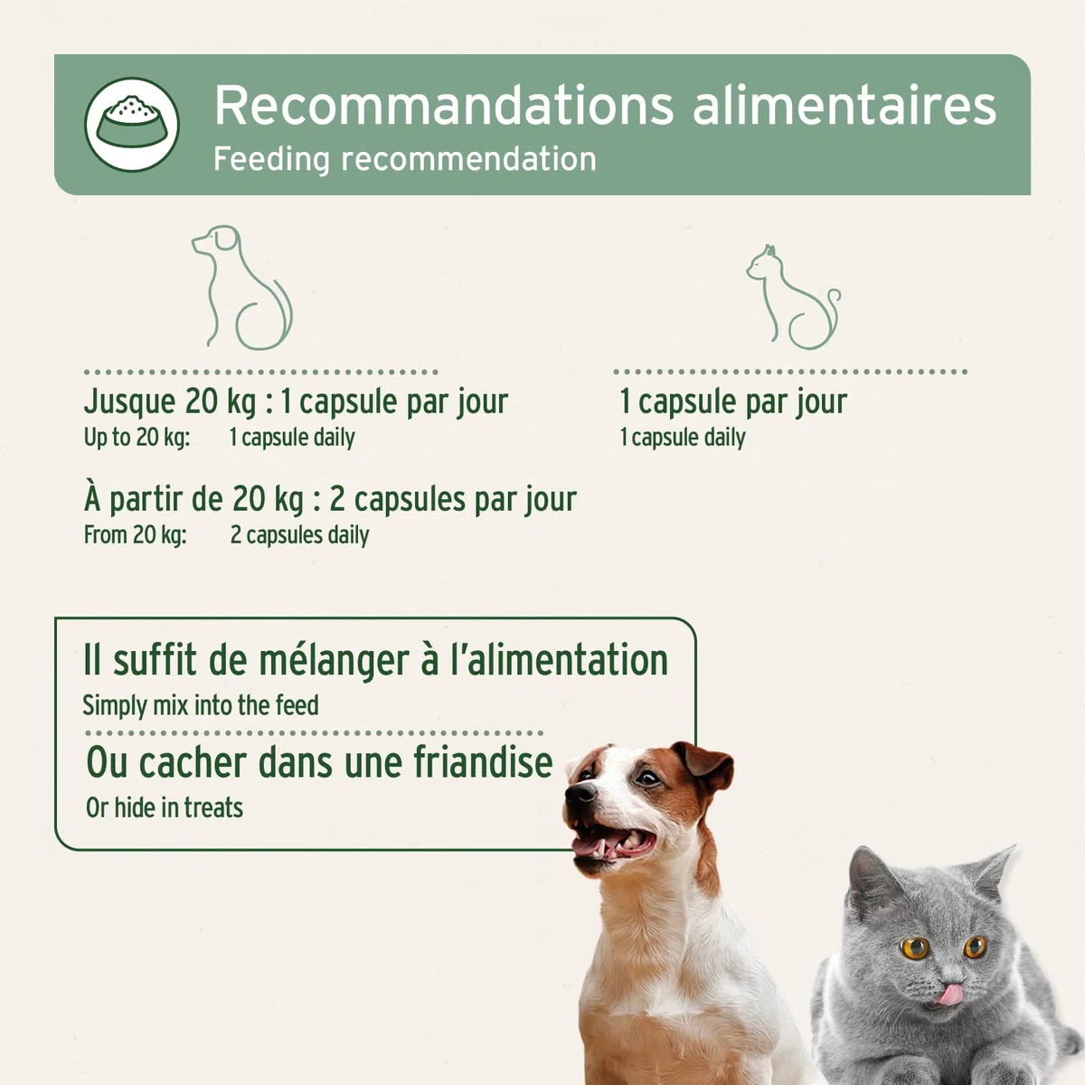 AniForte Huile de Saumon de Norvège 200 Capsules pour Chiens et Chats, Omega-3 acides Gras, Très Riche en Antioxydant, Beauté du Pelage, EPA DHA ALA, Barf Supplément