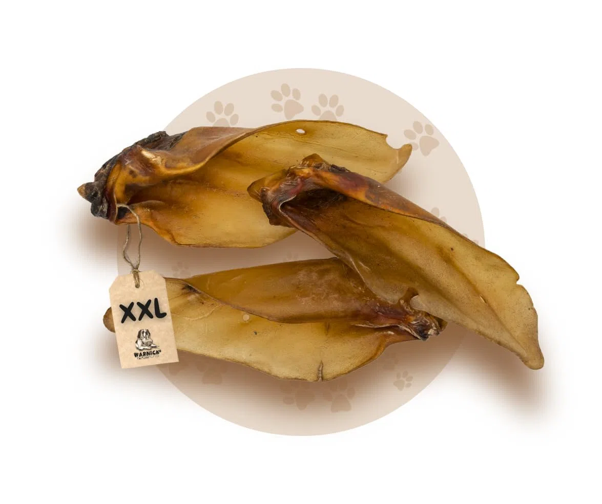 'bovins oreilles avec coquillage – Dans XXL – de warnick S Aliments Pour Animaux Service
