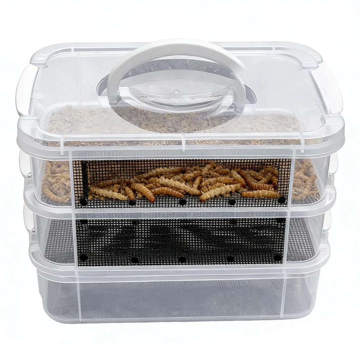 Kit Élevage Ver De Farine Vivant - Bac Nourrisseur À 2/3 Niveaux pour À Soie, Boîte Élevage Ver Farine, Conteneur d'alimentation pour De Farin pour Poules, Grenouilles, Lézards