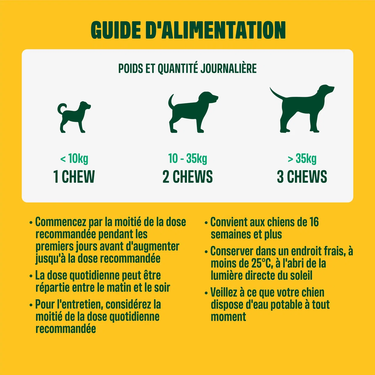ivvi Probiotic pour Chien - Complément Alimentaire pour Bien-Etre Digestif - Probiotiques, Citrouille, Avoine, Graines de Lin et de Courge - 60 Délicieuses Friandises Végétariennes, 270g
