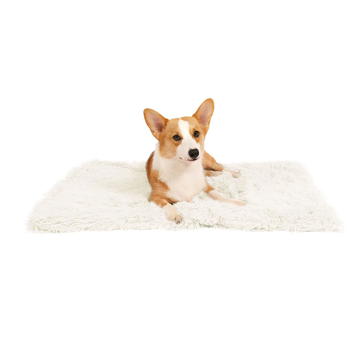 Couverture pour Chats et Chiens, Petite Couverture Chat, Chaud et Confortable, Réversible & Lavable, Tapis Doux pour Animaux 80 x 53cm, Le Confort pour Le Chat et Chien (Blanc)