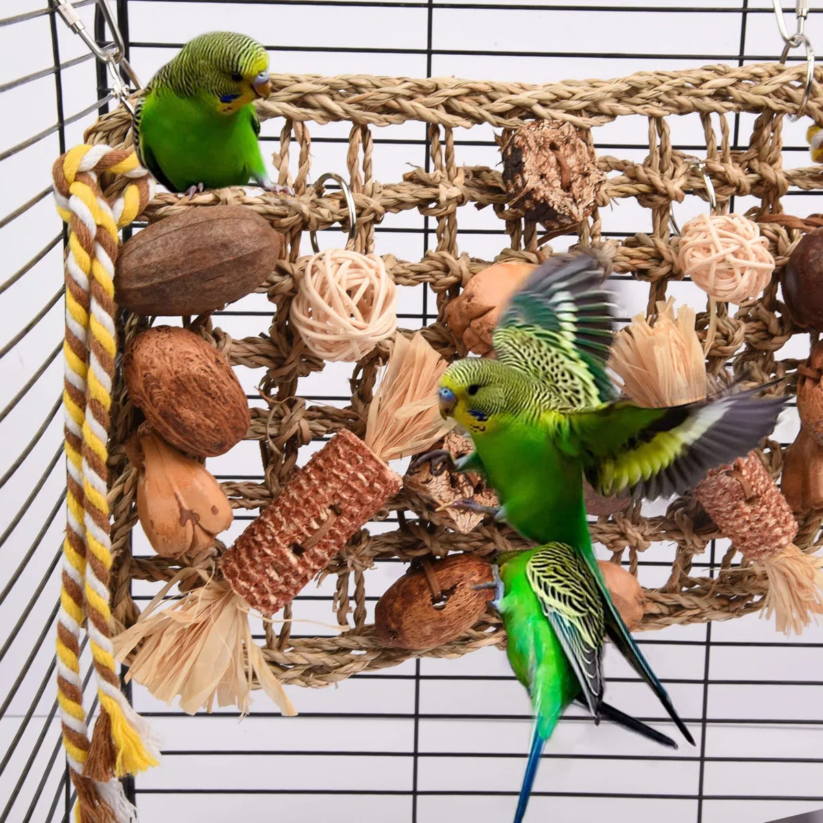Jouets pour Oiseaux, Jouet Perroquet, Jouet Perroquet Gris du Gabon Mural Suspendu Naturel Jeux pour