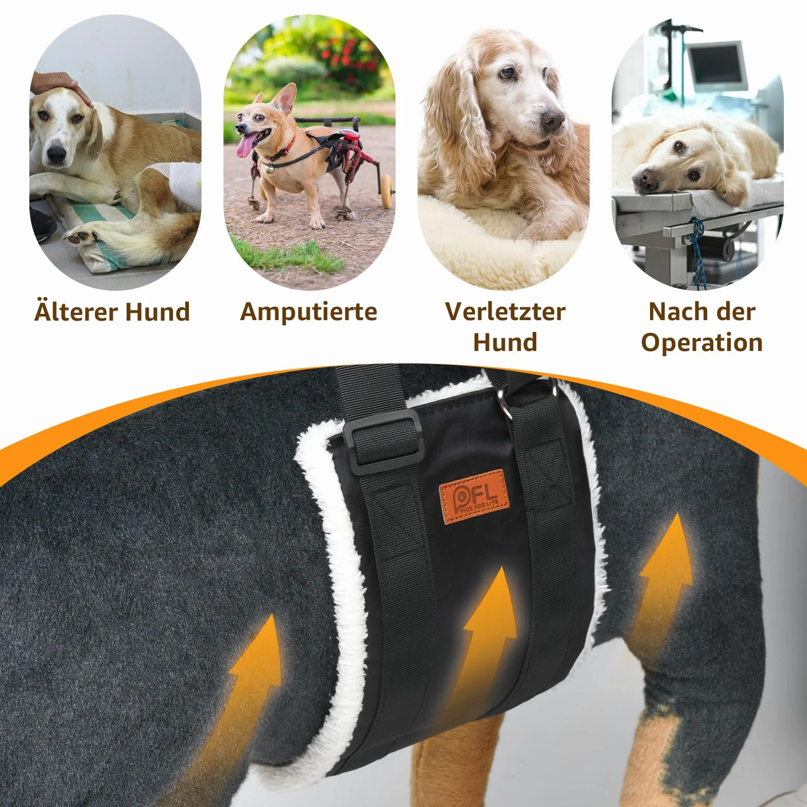 Aide au transport réglable pour chien - Sangle de transport portable pour la rééducation des chiens de taille moyenne et grande - Aide à la marche avec poignées comme soutien de sécurité pour chiens