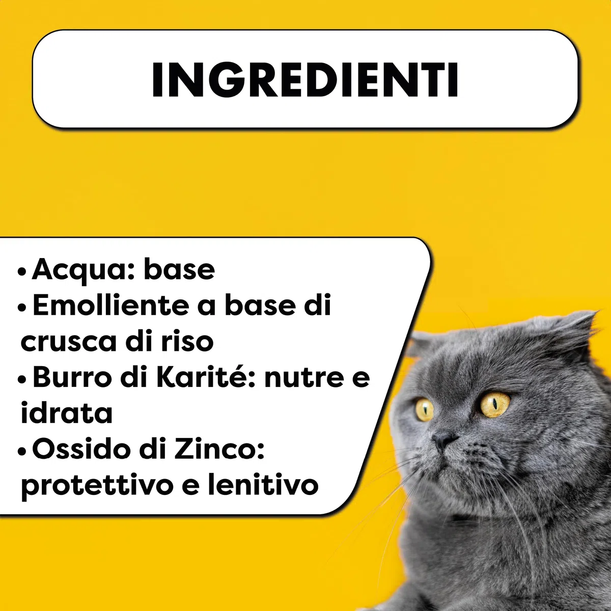 Balmprocare – Baume apaisant pour Chiens et Chats – Peaux sensibles, sèches ou irritées – Soin cutané Quotidien – 50 ML
