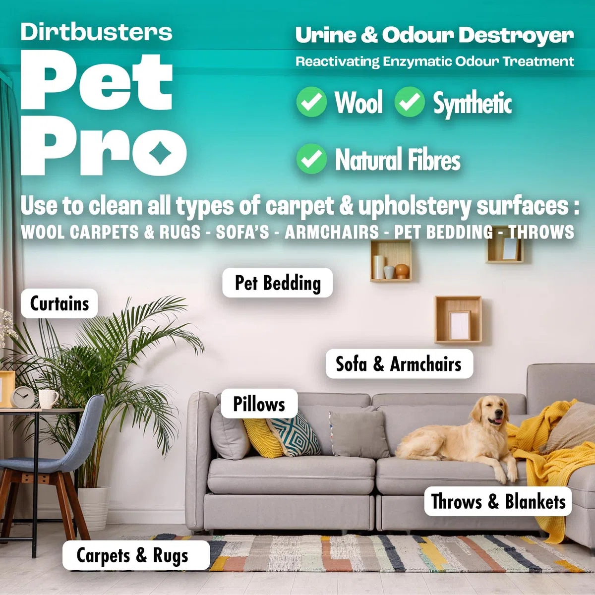Dirtbusters Pet Pro Nettoyant enzymatique pour tapis et tissus d'ameublement Neautralise et élimine les odeurs d'animaux domestiques, chiens et chats à la source, avec traitement enzymatique