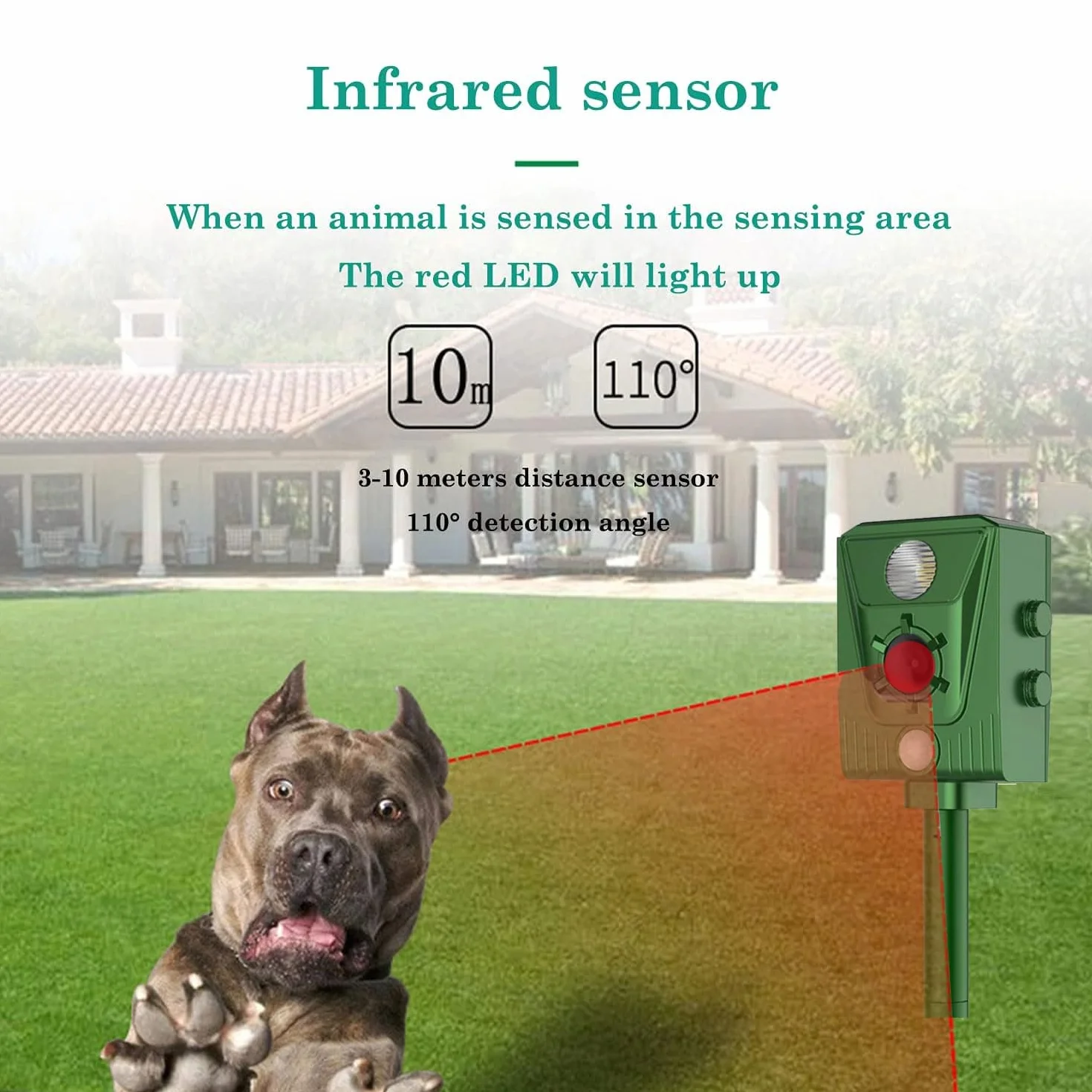 Répulsif Chat Ultrason, Répulsif à ultrasons Souris, Ultrasons pour Rats, Charge Solaire, Chargement USB Prévenir Les Souris et Les Chats, Les Oiseaux, pour Jardins, Champs, Pépinières