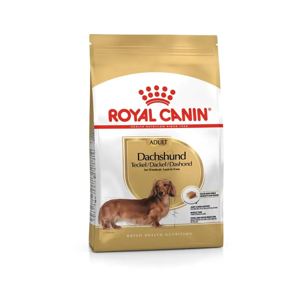 Royal Canin Teckel Adulte | Pack Double | 2 x 500 g | Aliment Complet pour teckels Adultes à partir de 10 Mois