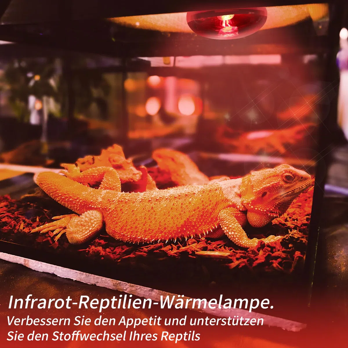 Lampe Chauffante Infrarouge Pour Reptiles, 2 Pièces de 50W Lampe Infrarouge Pour Reptiles Et Amphibiens, Lampe Chauffante Rouge Pour Poulailler, Tortue