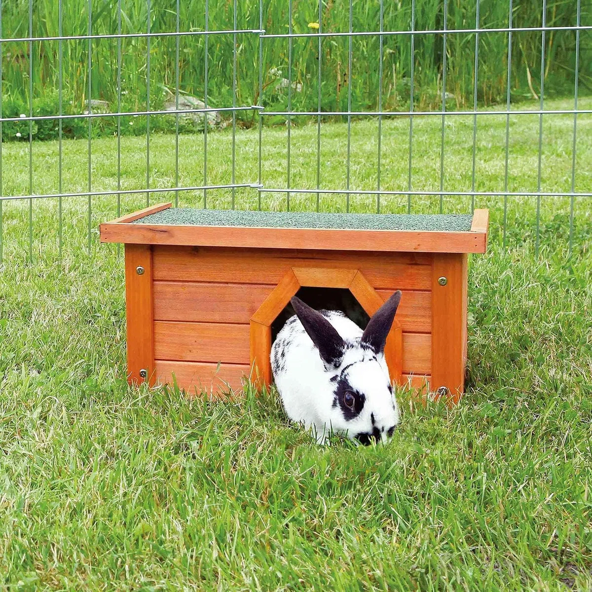 Bunny Business Petite maison pour enclos et lapins 40 x 20 x 28 cm