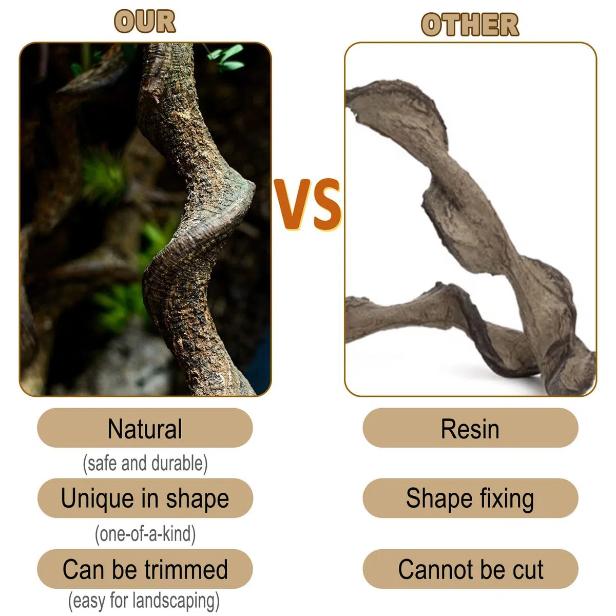 Kathson Lot de 3 branches naturelles de forêt pour terrarium, décoration d'habitat de lézard, branche d'arbre grimpante pour dragon barbu, gecko, serpent, grenouille, caméléon, araignée