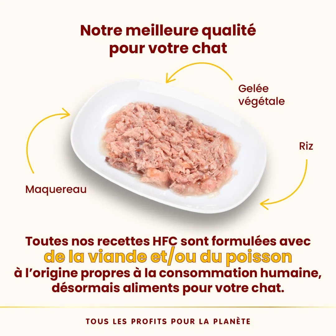 Almo Nature HFC Jelly – Nourriture Humide pour Chats Adultes – Maquereau – 55 g, Lot de 24 Sachets
