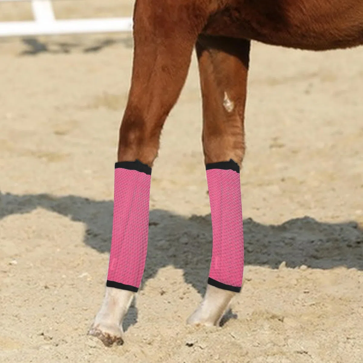 Bottes anti-mouches pour cheval, leggings réutilisables pour cheval, bottes de mouche, bottes de mouche durables, minimisent la fatigue des jambes et réduisent les coups de pied