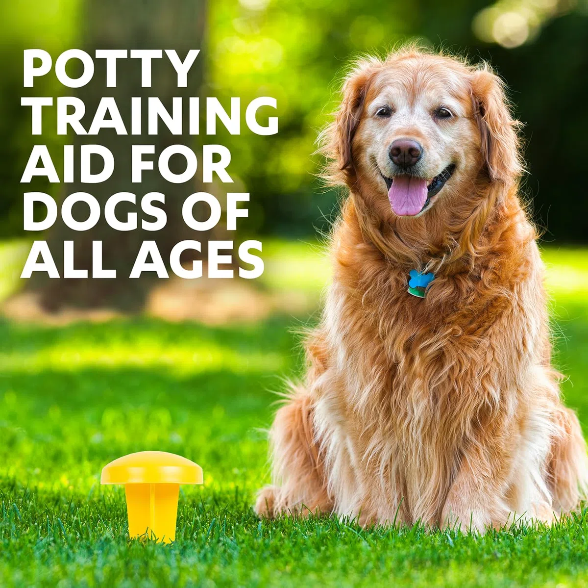 Simple Solution Poteau à Pipi, Aide au Dressage des Chiens d'extérieur - Jaune