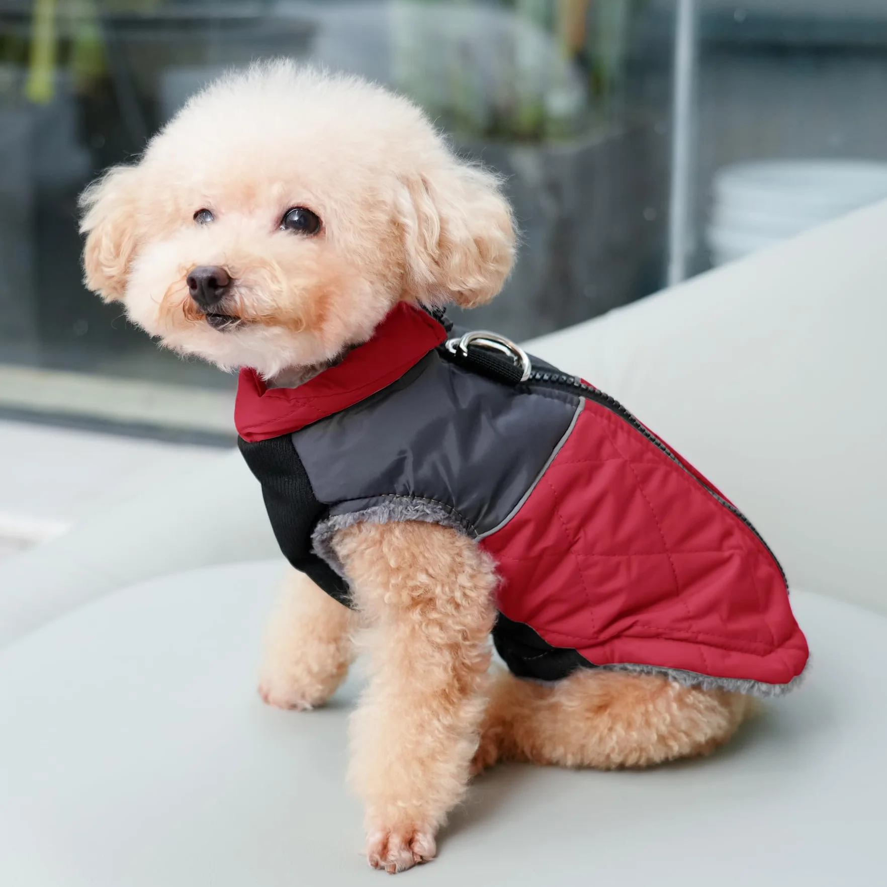 JoyDaog Manteau chaud en polaire pour petits chiens, veste imperméable avec anneaux en D, pour les hivers froids, rouge, taille XS