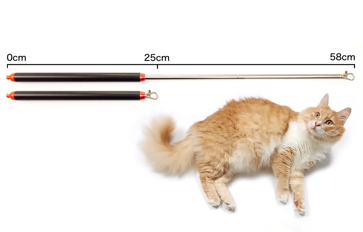 Canne à Chat télescopique – Jouet interactif avec Plumes & Bandes – 2 recharges incluses – Stable & sûr – Stimule l’Instinct de Chasse, l’Intelligence & Le Bien-être du Chat