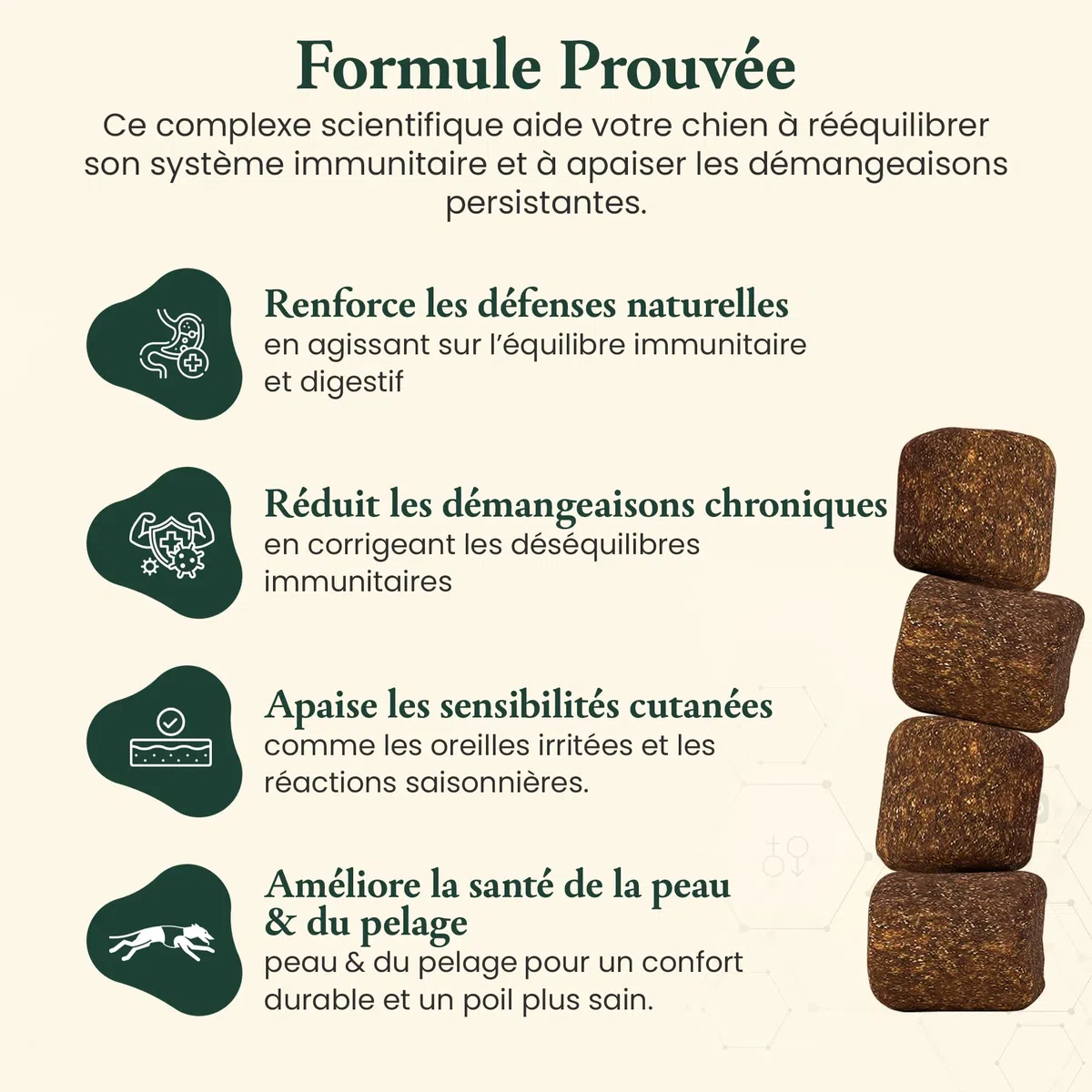 Woofilab Immunité & démangeaisons Complément Alimentaire Chien Immunité & Peau | Bouchées Colostrum, Curcuma et Probiotiques