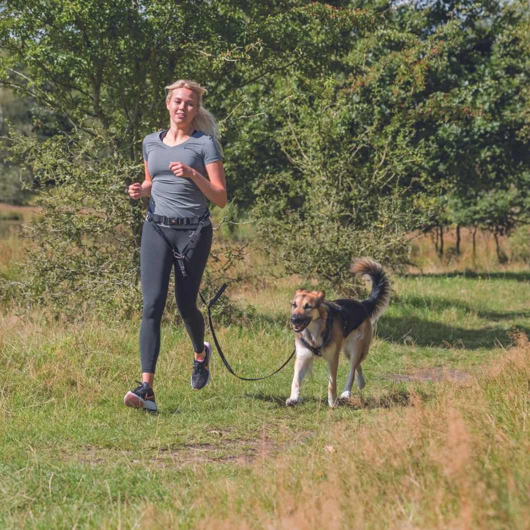 TRIXIE laisse de jogging pour chien avec ceinture M-L, 1,10–1,50 m, 20 mm en noir/graphite - laisse idéale pour sport et activités - pour chiens de taille moyenne à grande