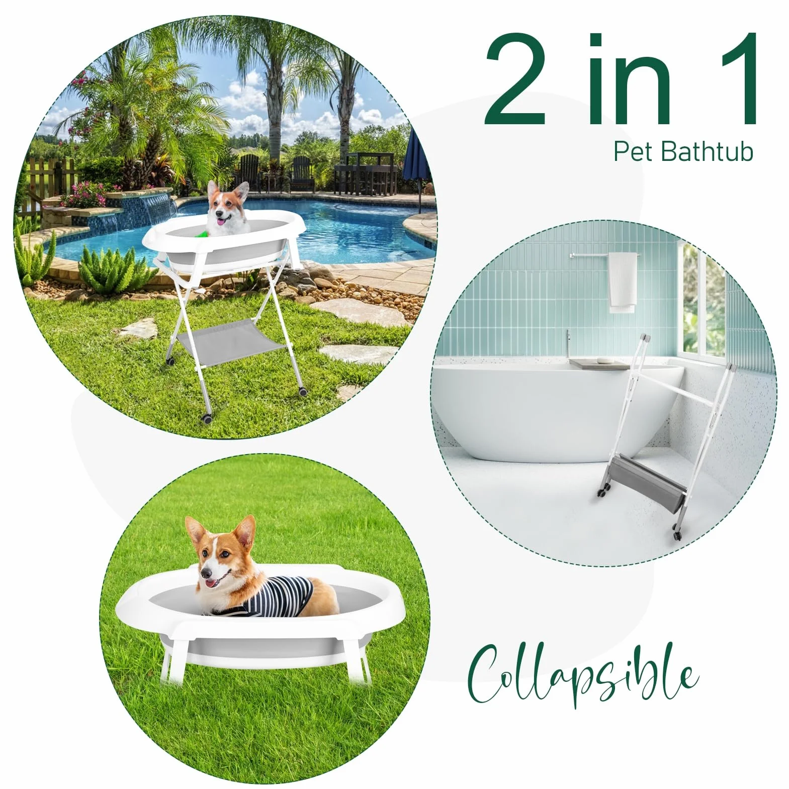 Baignoire 2 en 1 pour chien - Station de lavage pliable pour le bain et le toilettage - Baignoire de douche portable pliable pour petits chiens, chats et animaux domestiques avec 3 vitesses
