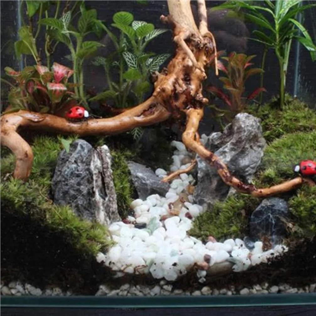 VILLCASE Bois Flotté Naturel 4 Pièces Décoration D'Aquarium Eau Douce Branche Aquarium Ornementale pour Plantes Racine Naturelle Accessoires Aquarium