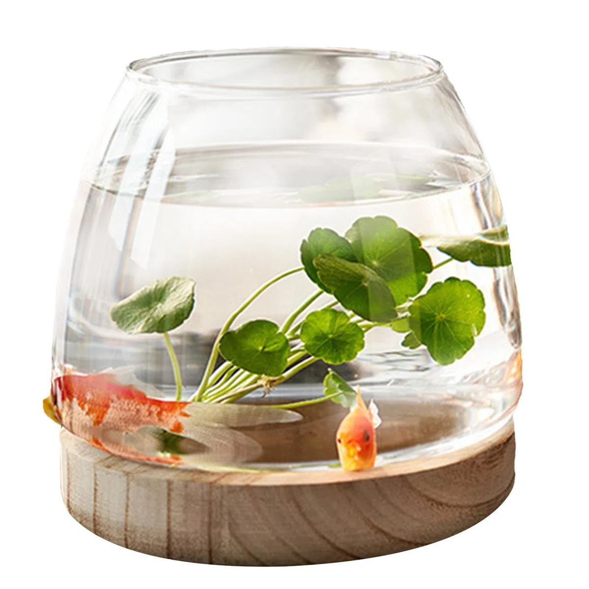 Bocal à Poissons en Verre avec Base en Bois, Petit Aquarium pour Poissons Betta Rouges, Vase en Verre pour Pla-nte Hydroponique, Vase à Fleurs pour Décoration de Bureau Maison