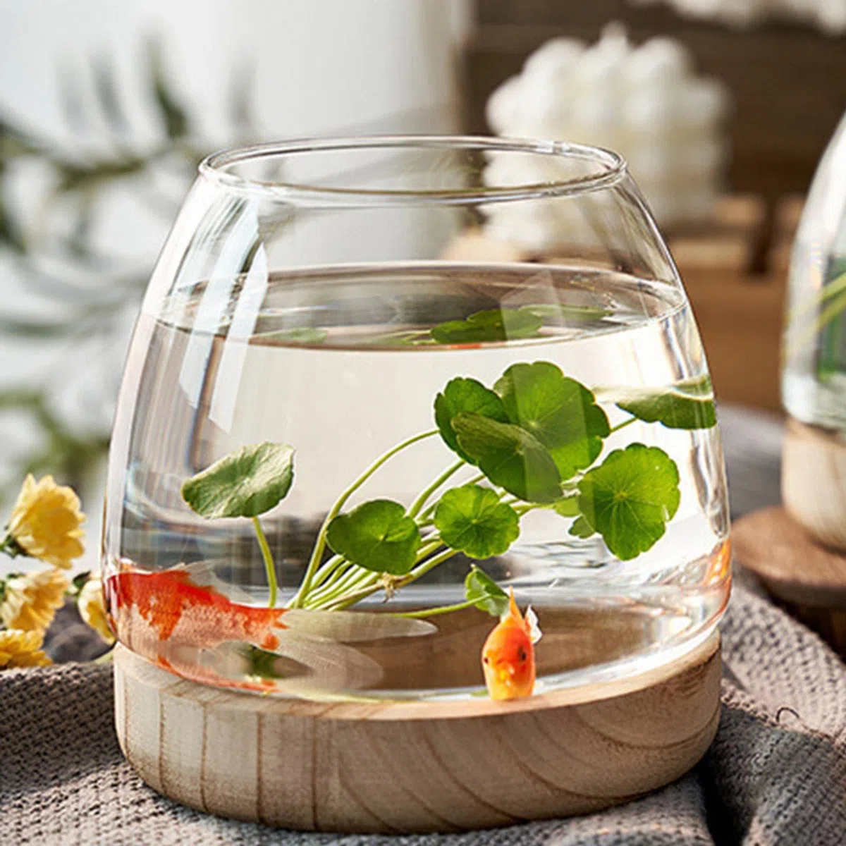 Bocal à Poissons en Verre avec Base en Bois, Petit Aquarium pour Poissons Betta Rouges, Vase en Verre pour Pla-nte Hydroponique, Vase à Fleurs pour Décoration de Bureau Maison