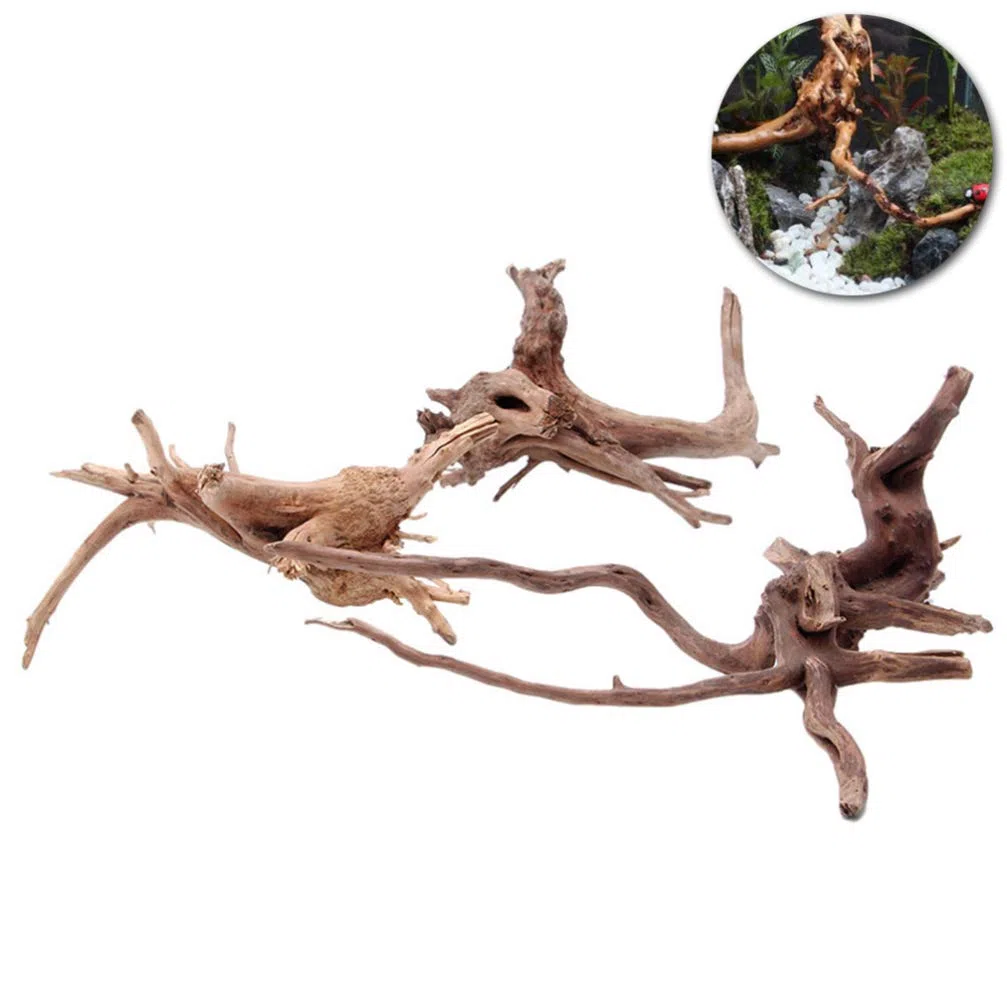 VILLCASE Bois Flotté Naturel 4 Pièces Décoration D'Aquarium Eau Douce Branche Aquarium Ornementale pour Plantes Racine Naturelle Accessoires Aquarium