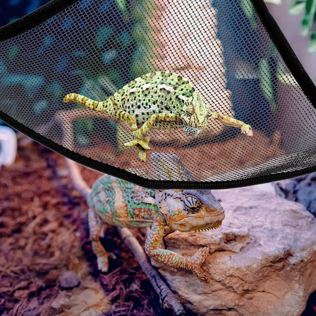 Lot de 2 hamacs en maille respirante pour reptile - Convient pour les dragons, lézards barbu, serpents, caméléons, geckos