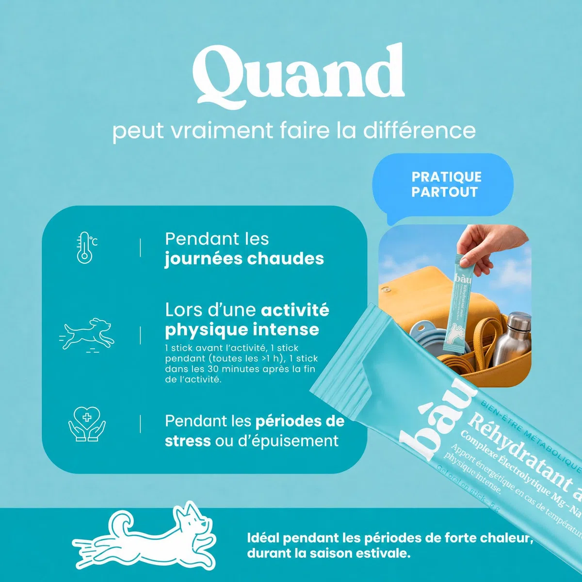 BAU Réhydratant Électrolytique pour Chiens Sportifs – Idéal par Temps Chaud – Gel Énergétique avec Magnésium, Sodium et Potassium – Soutien Pendant l’Activité – Sticks Unidose
