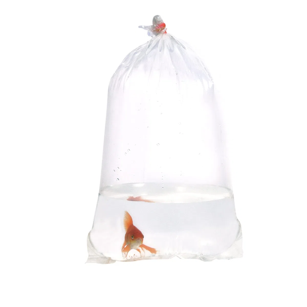 20,3 x 40,6 cm, ALFA FISHERY BAGS, Sacs de pêche étanches en Plastique Transparent avec Coins Ronds pour Le Transport de Poissons tropicaux et Marins Calibre 200.
