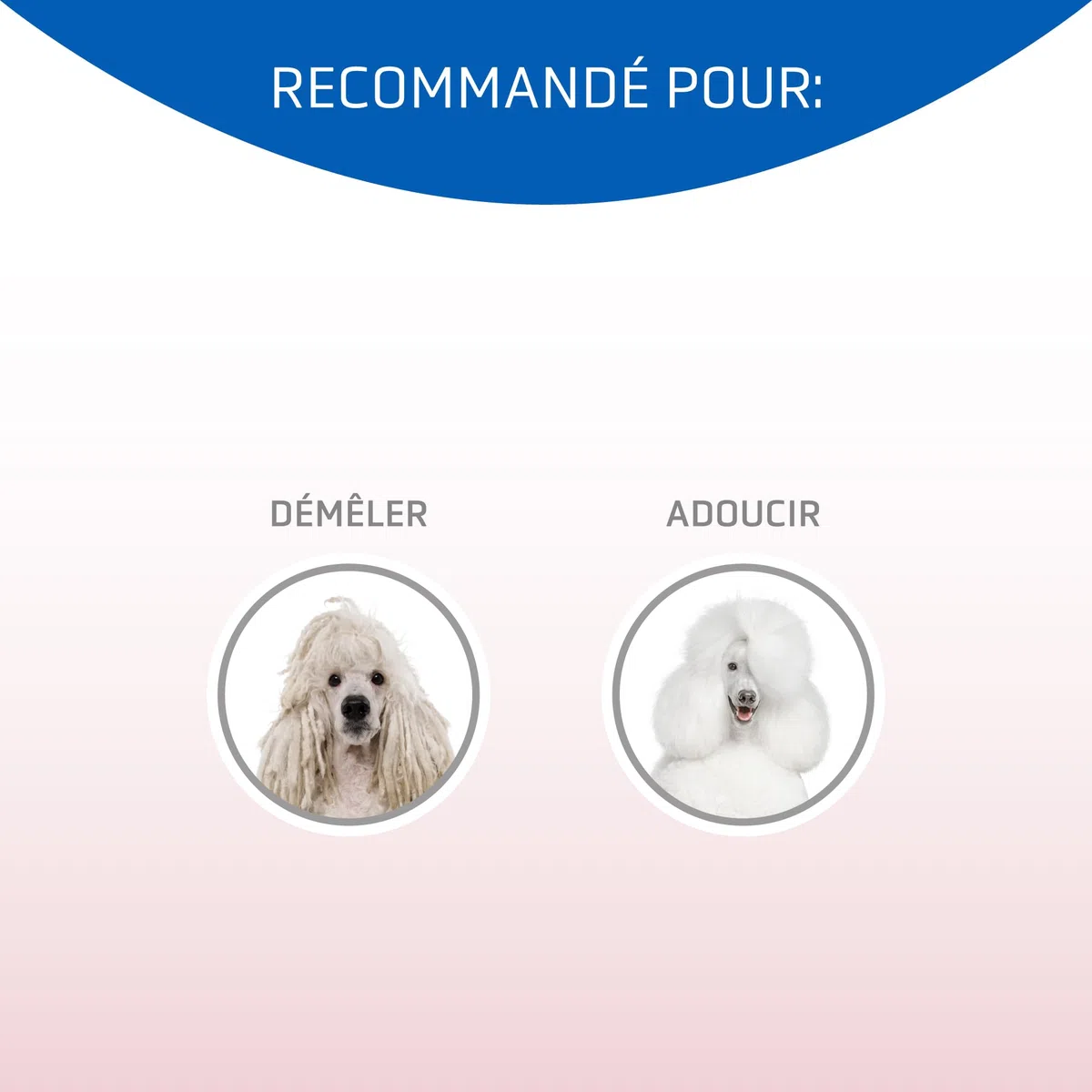 Démêlant-conditionneur Matt-X d'Artero pour Chiens et Chats.