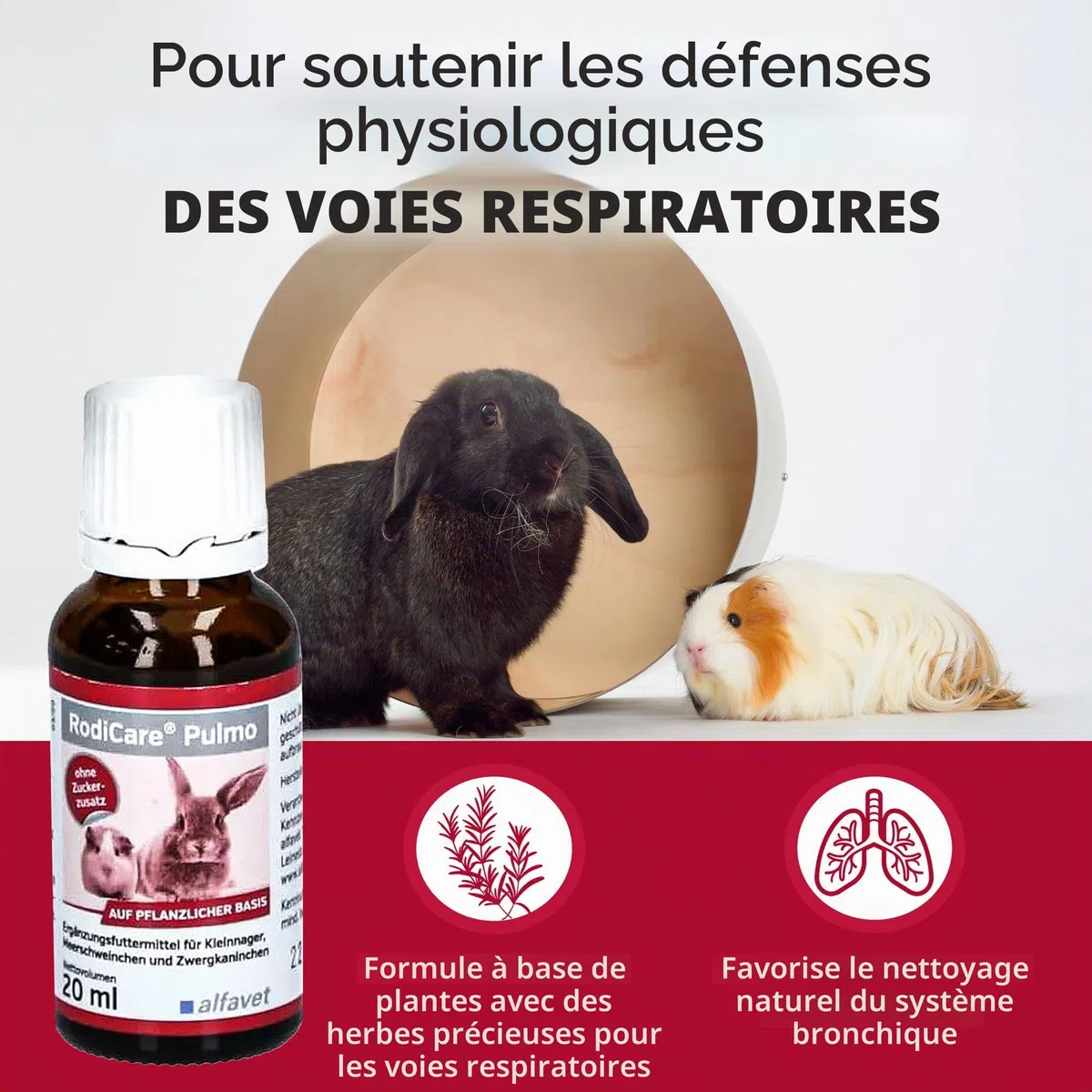 alfavet RodiCare Pulmo : 20 ML Complément Alimentaire pour Lapins Nains, cochons d'Inde et Petits rongeurs pour Soutenir Les défenses physiologiques des Voies respiratoires