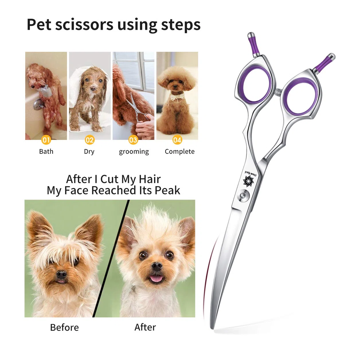 Dream Reach Ciseaux de toilettage pour chien – 16,5 cm Ciseaux professionnels tranchants incurvés avec poignée ergonomique pour chats et chiens