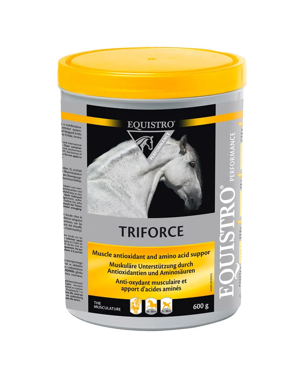 EQUISTRO® Triforce | Complément alimentaire pour chevaux | Pour renforcer l'endurance, la condition physique et la chevalerie | Protection des muscles contre le stress oxydatif | 600 g