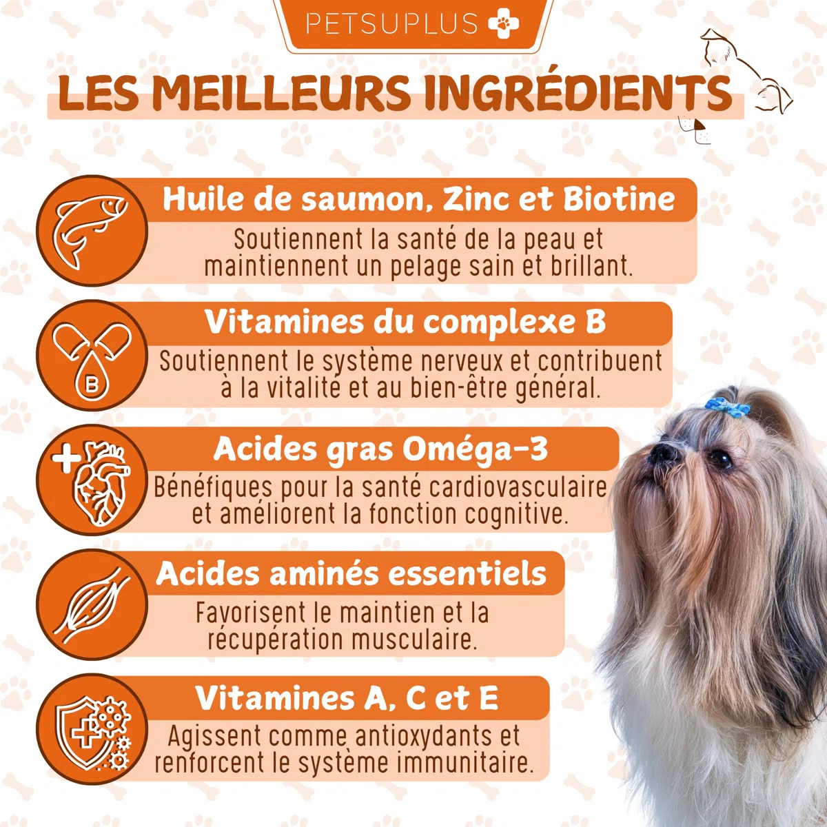 Peau et Pelage - Complement Alimentaire Chien avec Omega 3 et Huile de Saumon pour Chien. Contre Démangeaisons, Peau sèche, Irritations, Perte de Poils et l'Irritabilité - 120 Bouchées