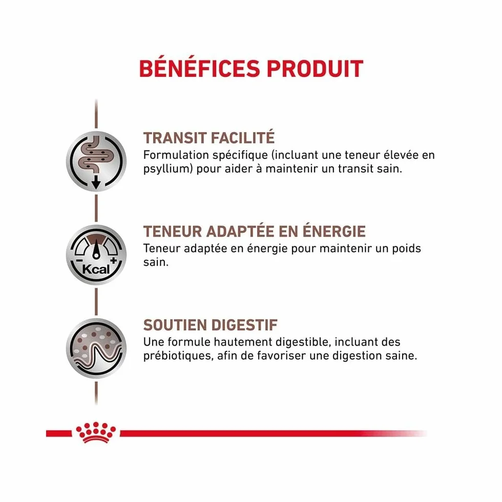 Royal Canin Gastro Intestinal Fibre Response | 12 x 85 g | Aliment Complet diététique pour Chats Adultes | Souffrant de Constipation Chronique ou de problèmes Gastro-intestinaux