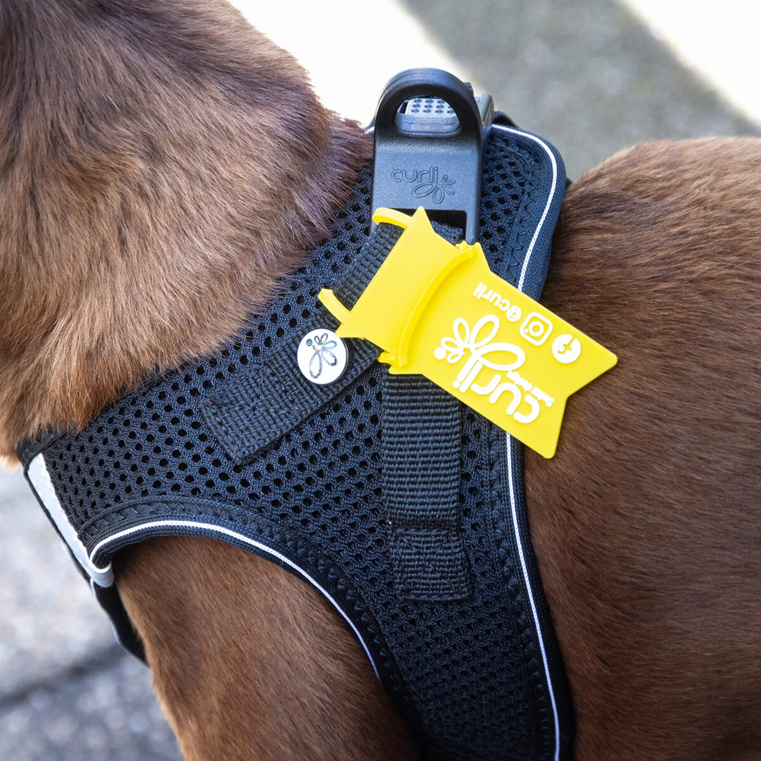 Vest Harness D-Ring Buckle Black 2XS