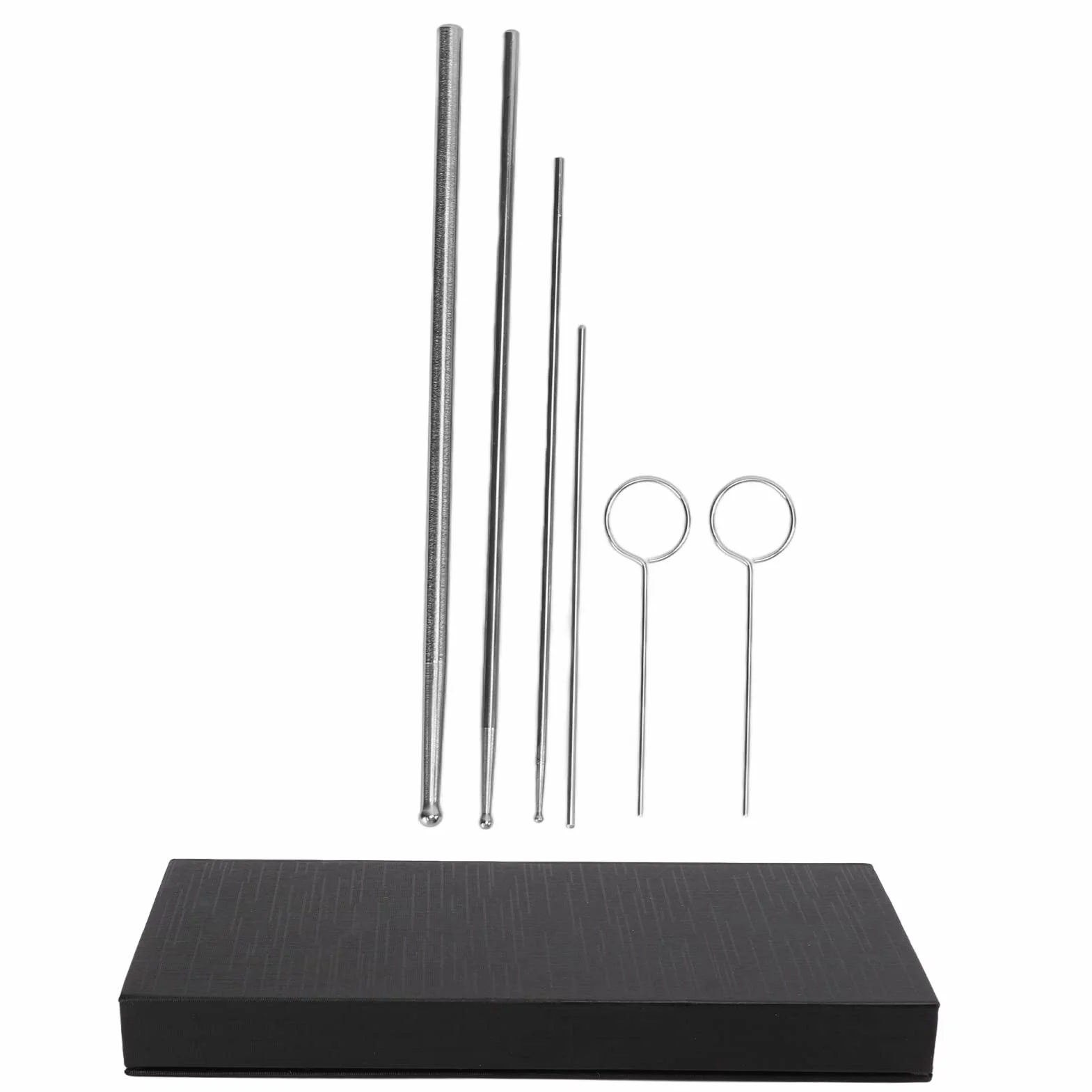 Sonde de Reptile à tête Ronde, kit de sonde de Serpent en Acier Inoxydable avec boîte de Rangement pour sonde de sexage de Serpent