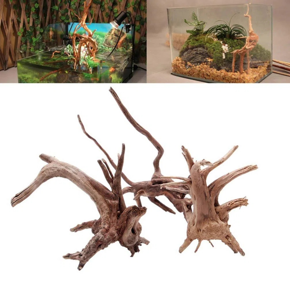 VILLCASE Bois Flotté Naturel 4 Pièces Décoration D'Aquarium Eau Douce Branche Aquarium Ornementale pour Plantes Racine Naturelle Accessoires Aquarium