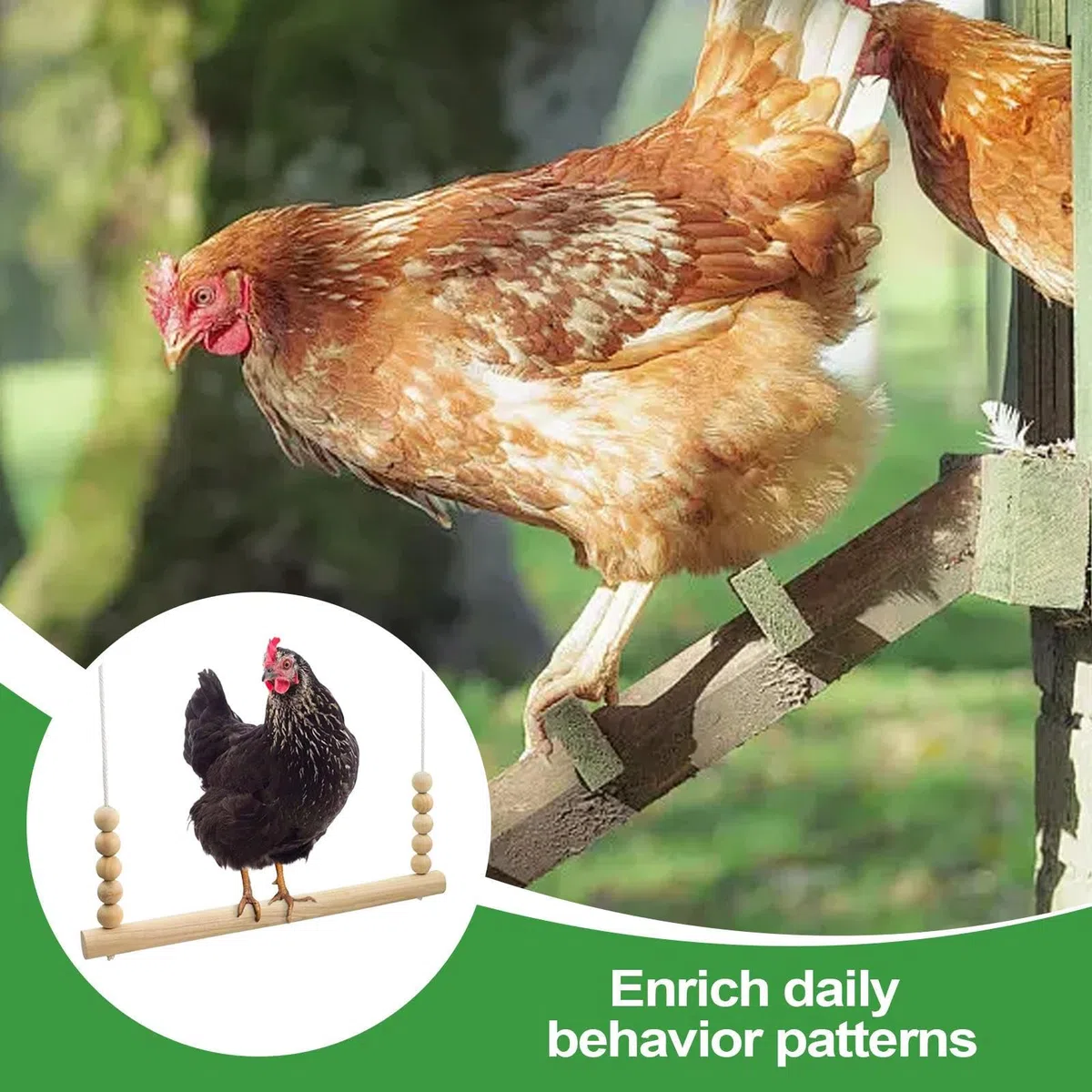 Jouet Balançoire pour Poules, en Bois Naturel pour Volailles | Perchoir Échelle Stable Sécurisé Enrichissement Jeu Repos Volaille Basse-Cour Ferme