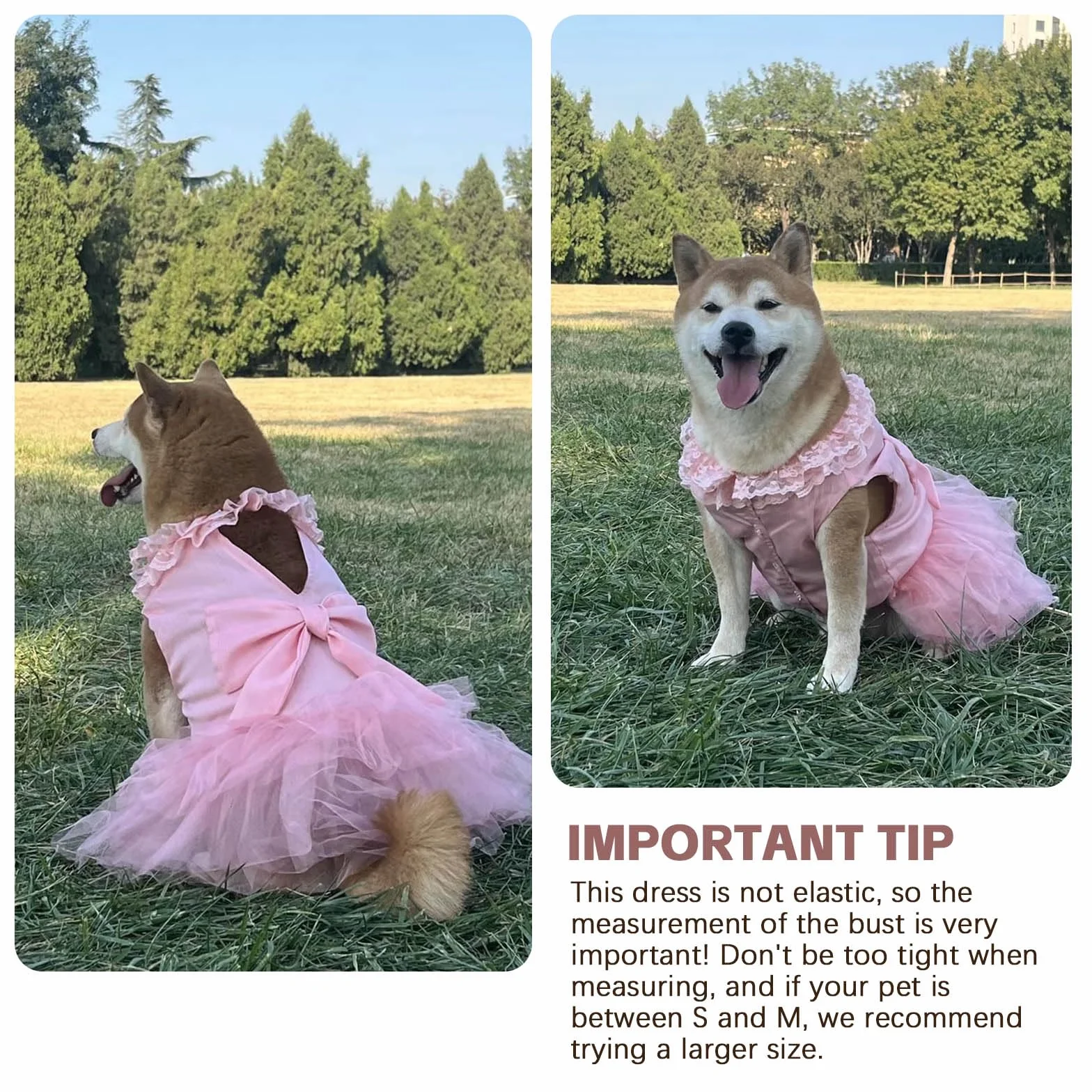 Robes pour Chiens de Grande Taille, Robe de mariée de Luxe pour Chien, Magnifique Costume de mariée avec nœud Papillon, Jupe de Princesse pour Chiens de Taille Moyenne, pour l'été, Les fêtes