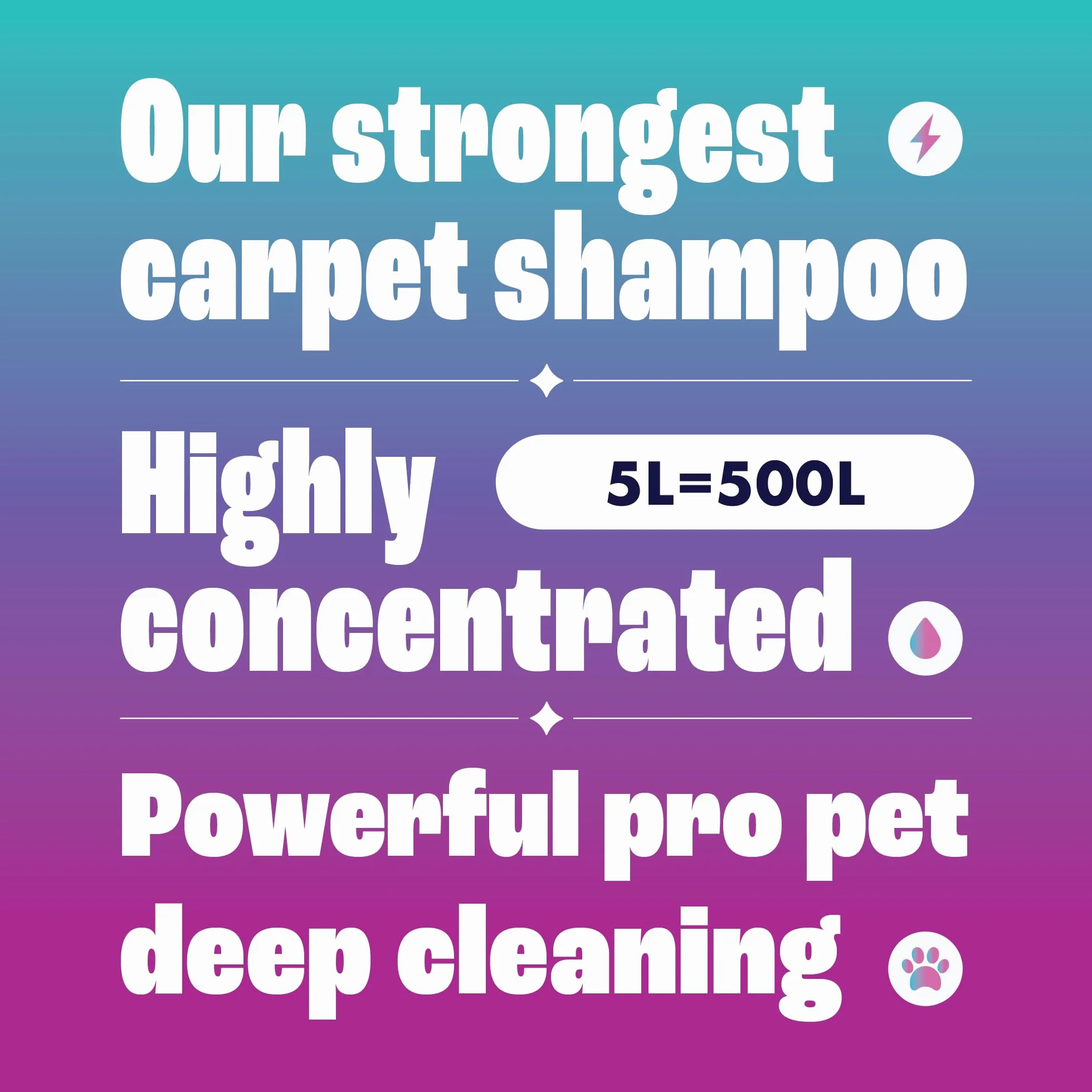 Dirtbusters Pet Pro Solution de shampooing nettoyant en profondeur avec neutraliseur d'odeurs pour enlever l'urine de chien et de chat, solution nettoyante pour tapis et machines à shampooing (5 l)