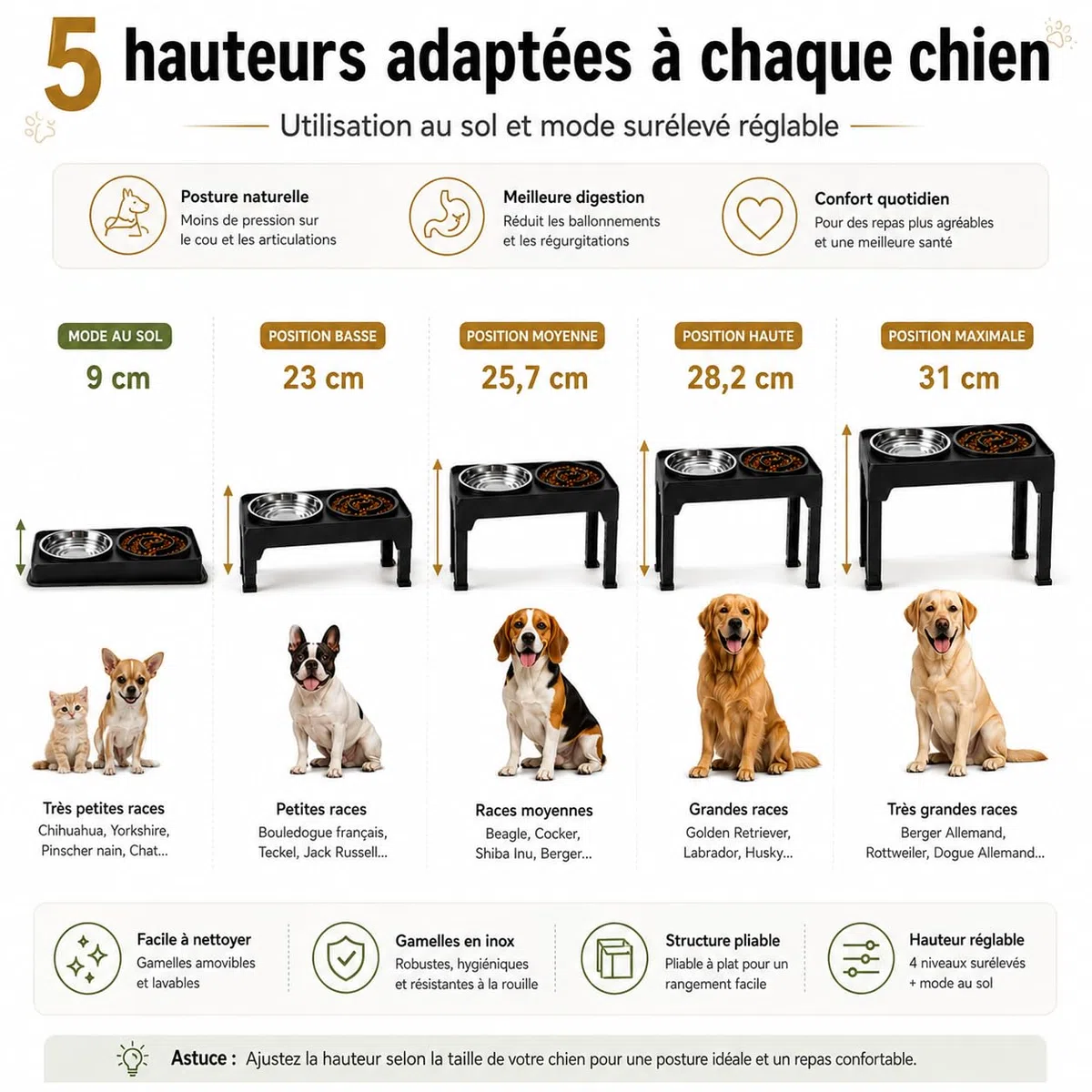 Gamelle Surélevée pour Chien Réglable – 5 Hauteurs Ergonomiques – Améliore Posture & Digestion – 2 Bols INOX 1200ml + Anti-Glouton 800ml – Tapis Antidérapant – Chiens Petits, Moyens, Grands