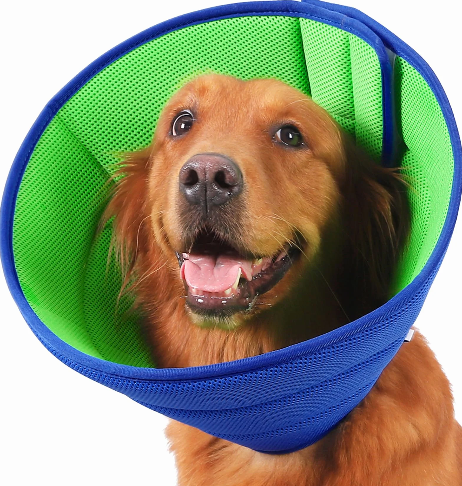 Collerette Chien, Collerette Souple et Légère pour Chien, Collerettes pour Chiens Anti Lechage et Grattage, Ajustable Collier de Récupération Chiens, Cône de Cicatrisation Respirant (Bleu Size 8)