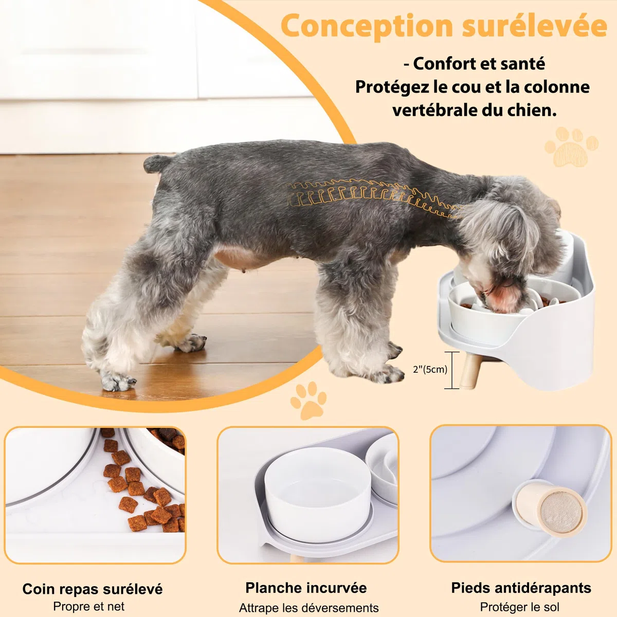 Gamelle Chien Anti-glouton surélevée Set - gamelles céramique avec Support Plastique antidérapant - Bol Alimentation Lente et Bol d’Eau pour Chiens de Petite et Moyenne Taille