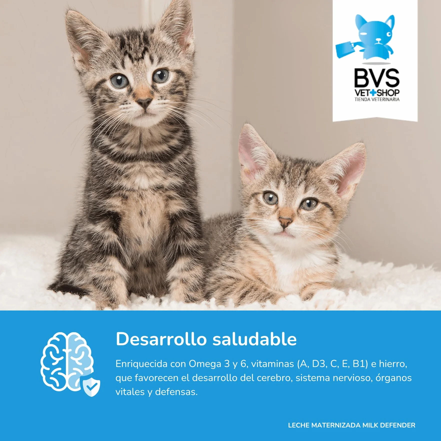 BVS Vet Shop | Lait maternisé Milk Defender pour Chatons | Aliment Complet pour l'allaitement Maternel pour Le Soin Optimal des Chatons | 1 unité x 140 g