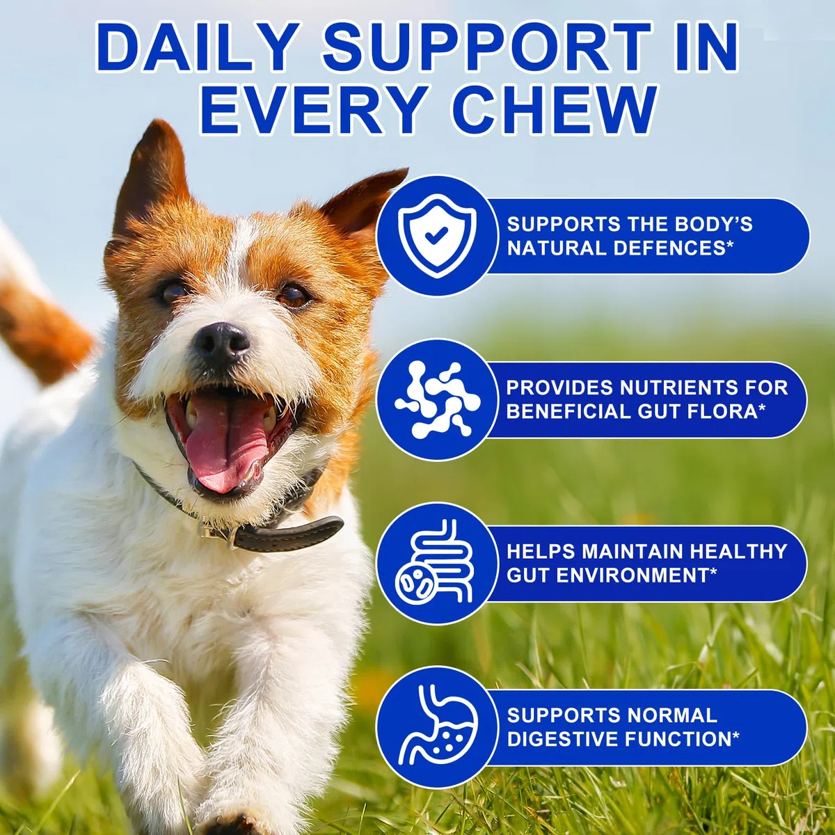 Probiotiques pour Chiens, Digestive Remedies for Dogs, enzymes digestives, santé intestinale, démangeaisons cutanées, Allergies, système immunitaire et Soutien à la santé Globale,150 Chews Duck